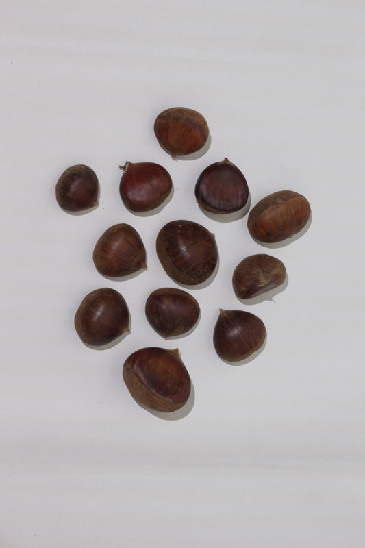 Himalayan Chestnuts